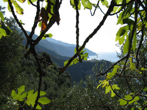 Train Service through the Cinque Terre Mountains